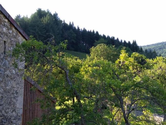 La Caminada Villa Fougax-et-Barrineuf Eksteriør bilde